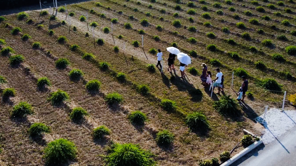 VISITA AI CONTADINI DI UGENTO